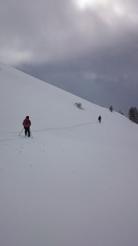 DSC_0352.JPG