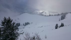 DSC_0355.JPG