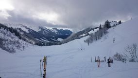 DSC_0388.JPG