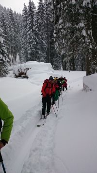 DSC_0222.JPG