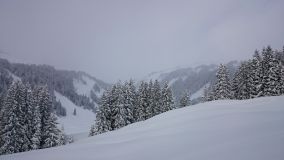 DSC_0228.JPG